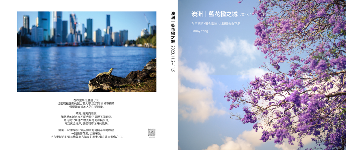 澳洲｜藍花楹之城